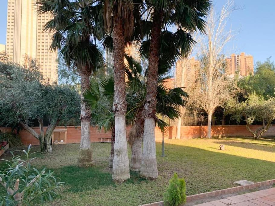 Puerto Apartamento *